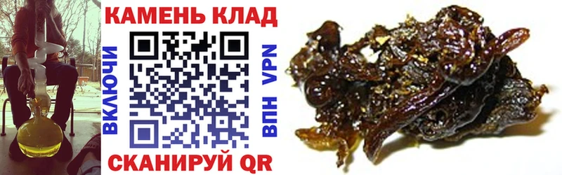Гашиш Premium  Купить  Нижнеудинск 