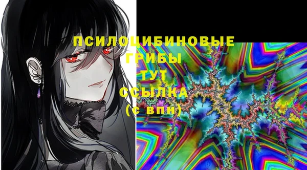 тгк Каменка
