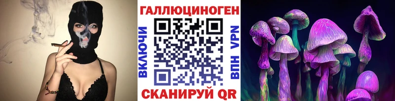 Купить  Нижнеудинск  Псилоцибиновые грибы Psilocybe 