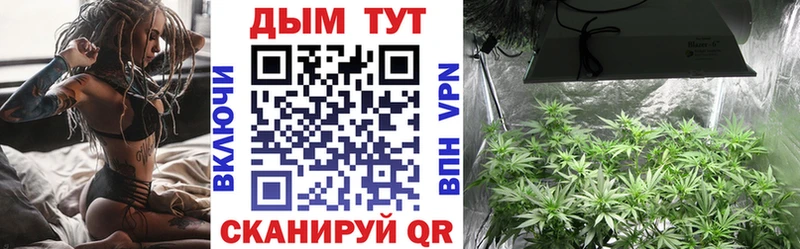 Купить закладки  Нижнеудинск  Марихуана ГИДРОПОН 